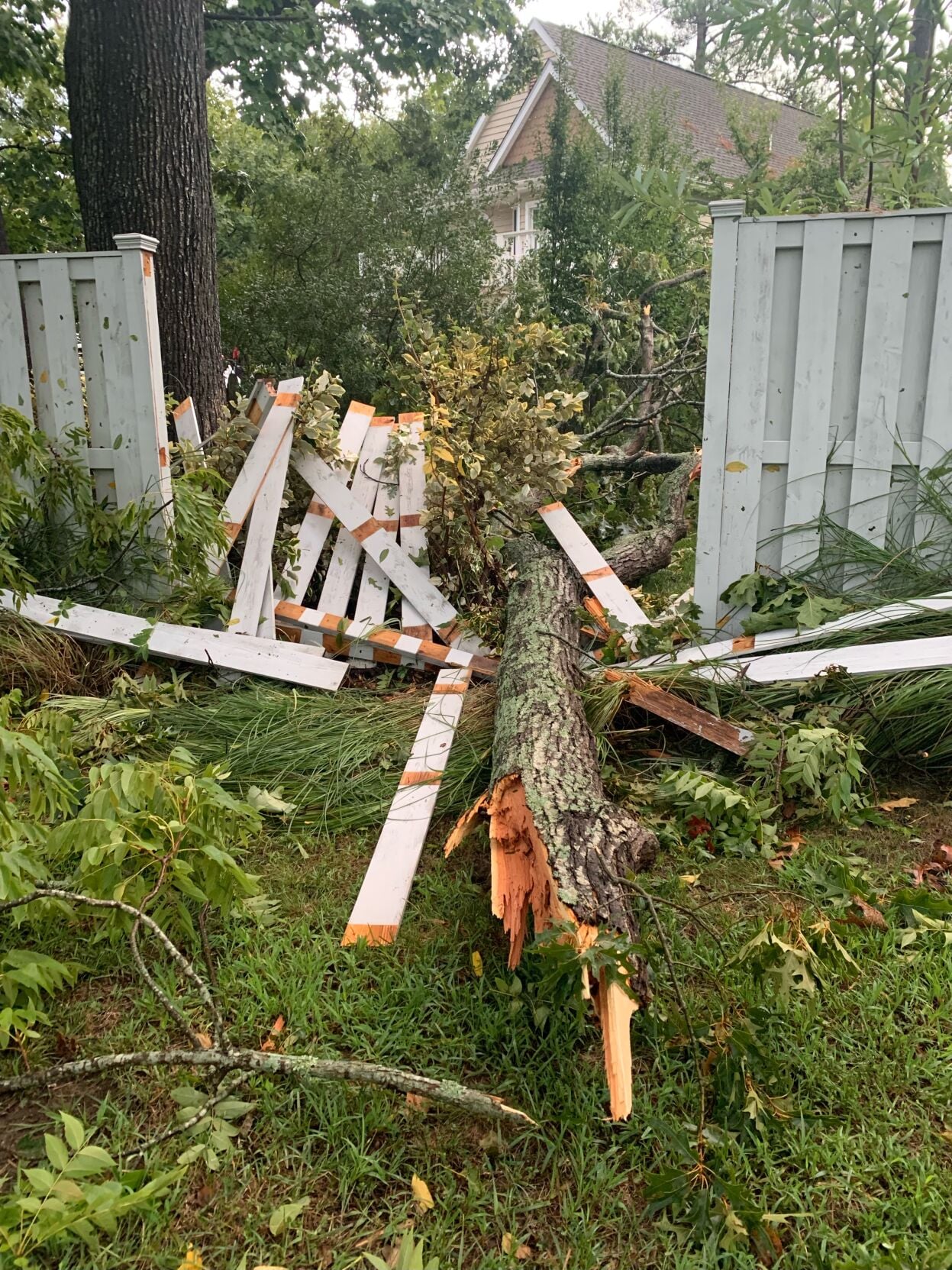 Down Trees and Damage After Overnight Thunderstorms | News | coasttv.com