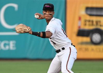 Delmarva Shorebirds