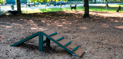 Two winners named in 2026 “Pup of the Pines” contest