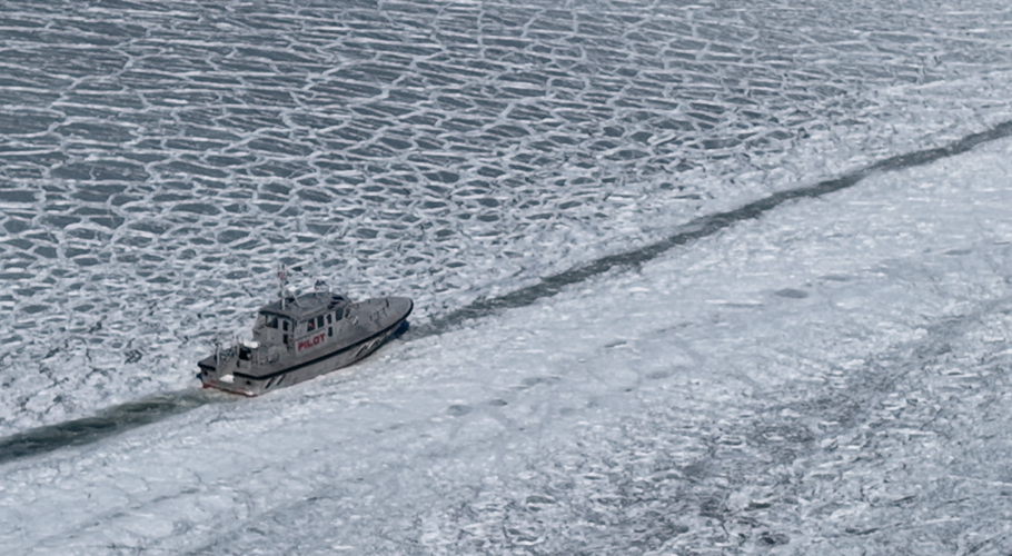 Delaware Bay week of 2/2