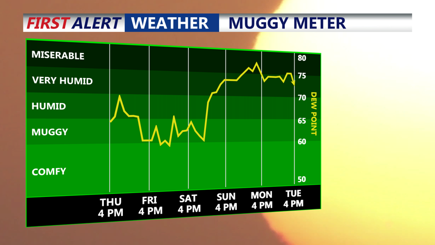 MUGGY METER