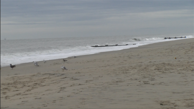 The Importance of Replenishment