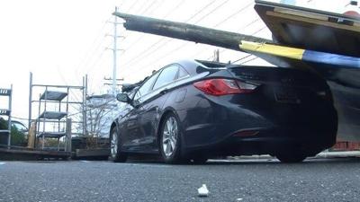 Strong Winds Batter Sussex County