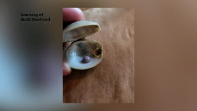 Purple Pearl Gets A Price Tag