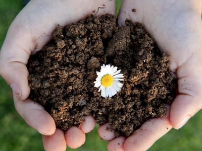 Human remains could be turned to soil in Delaware