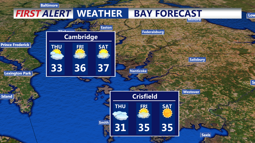 BAY FORECAST