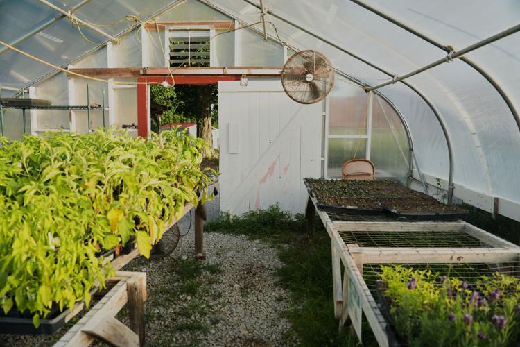 Climate Heat Specialty Crop Farms