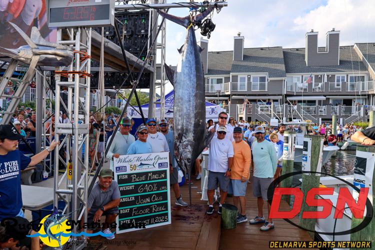 Floor Reel Blue Marlin