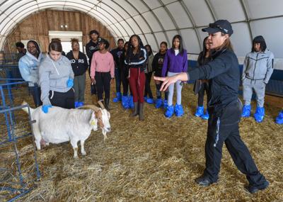 UMES Vet Program