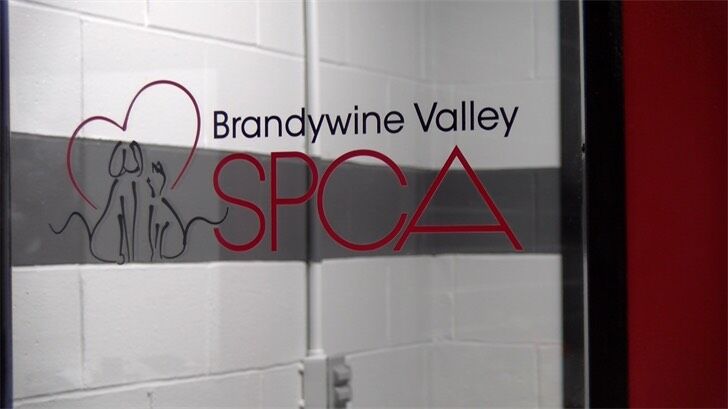 Brandywine Valley SPCA