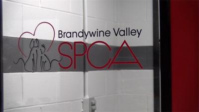 Brandywine Valley SPCA