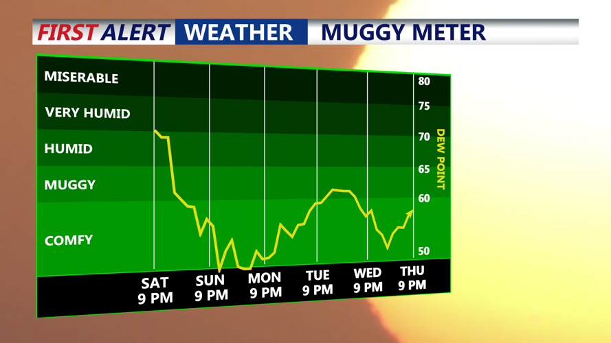 Muggy Meter