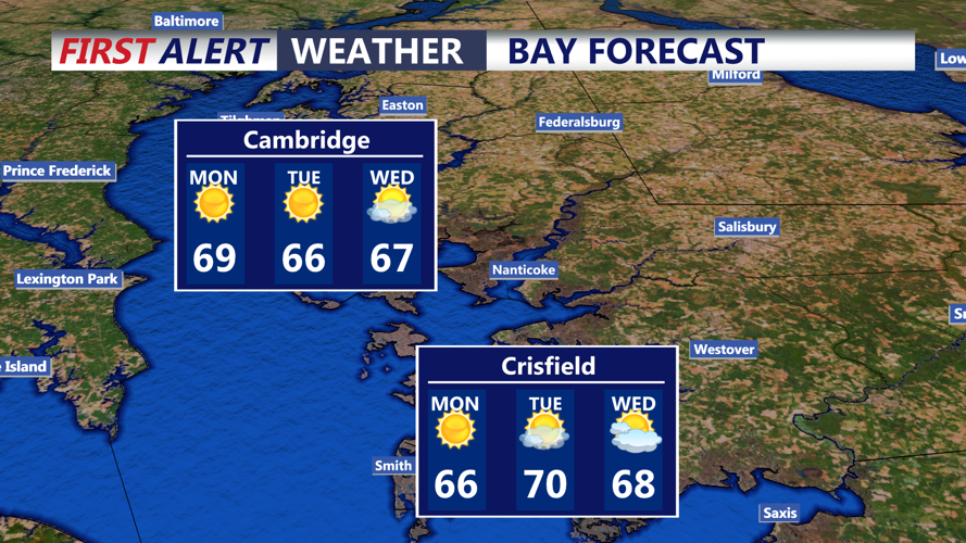 BAY FORECAST