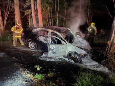 millsboro tree crash 1