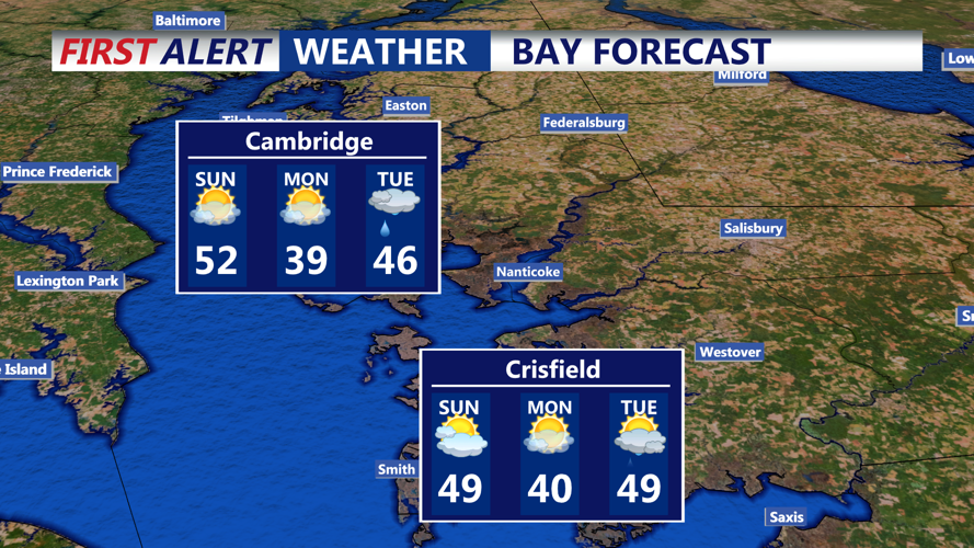 BAY FORECAST