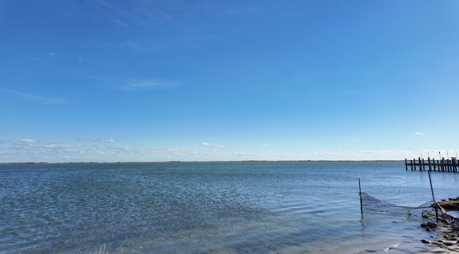 Sinepuxent Bay