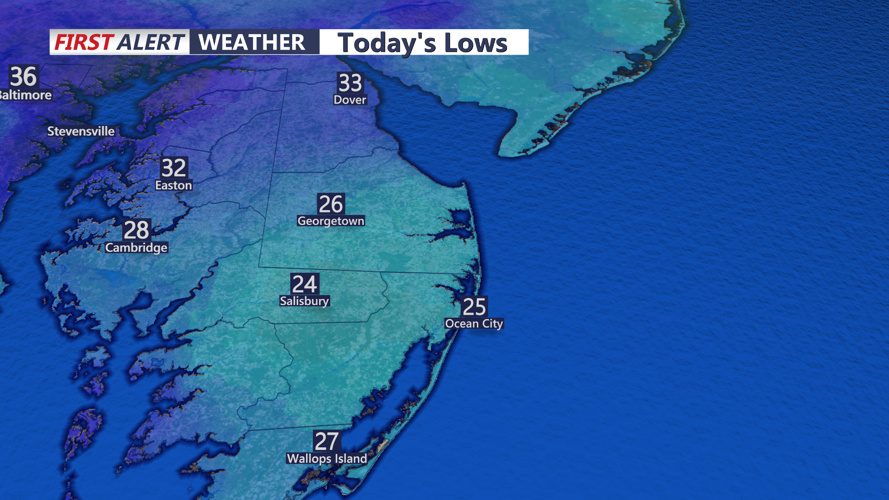 TODAY'S LOWS