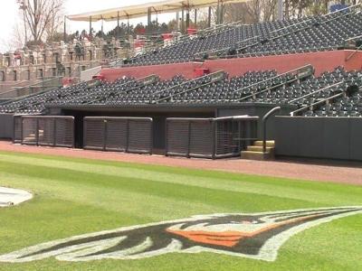 Shorebirds Are Wrapping Up Homestand