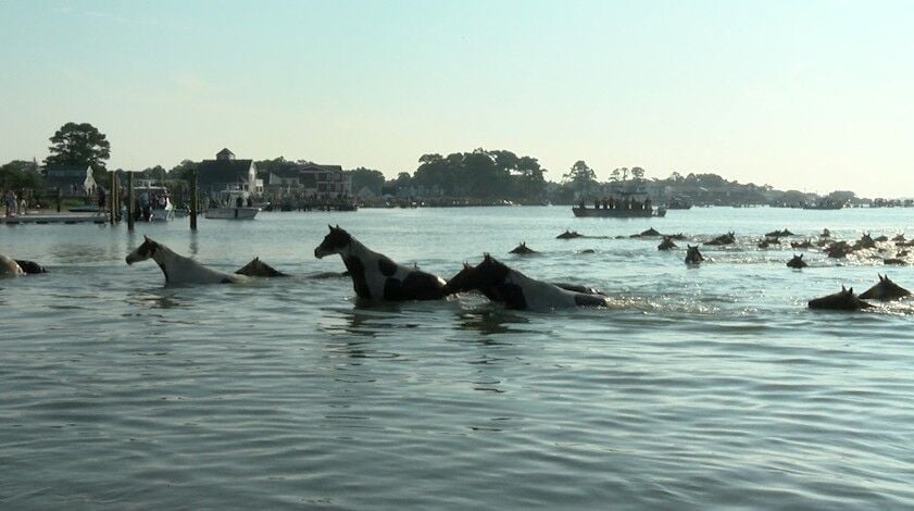 Pony Swim in action