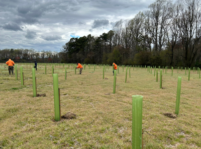 Delaware Forest Resiliency Fund