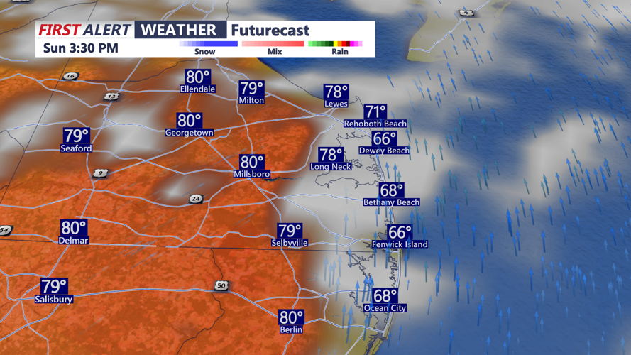 futurecast