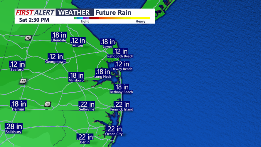 Futurecast Rainfall