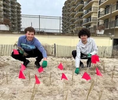 Ocean City announces free beachgrass plug bundles for February pickup