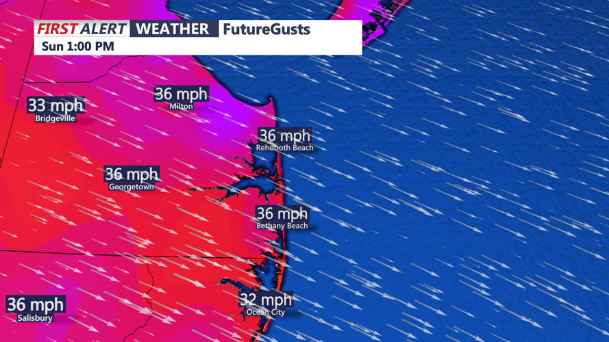 FUTURE WIND GUSTS - SUSSEX