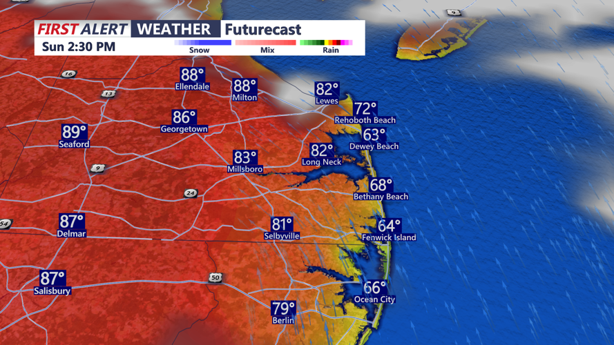 futurecast