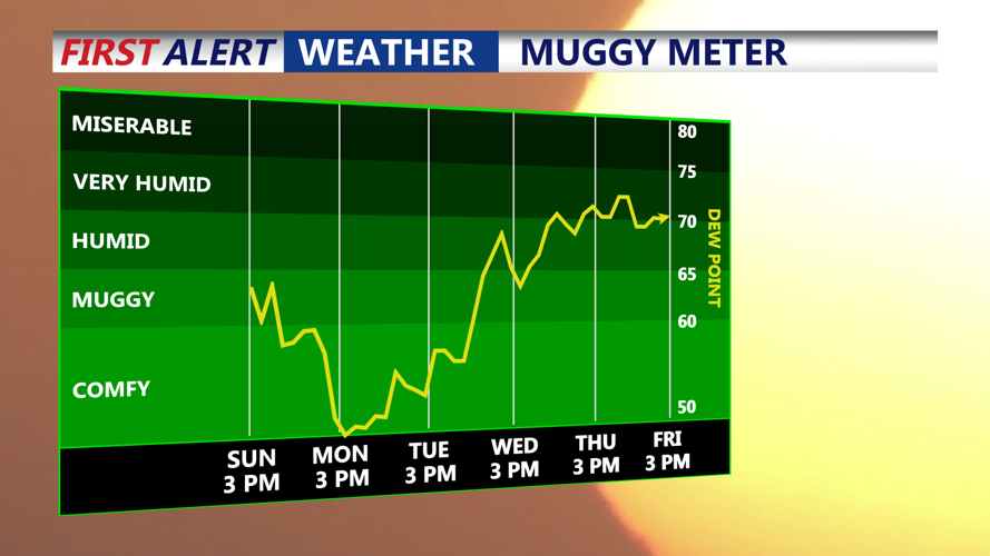muggy meter