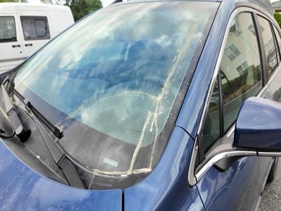 pollen on car