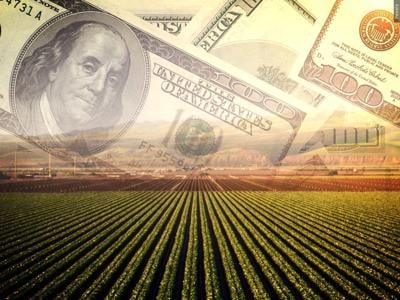MD Crop Grants