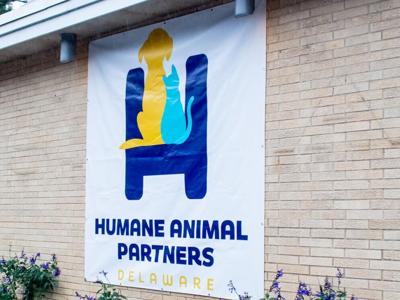 Humane Animal Partners