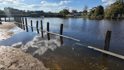 A series of wooden poles with water coming over the shoreline.