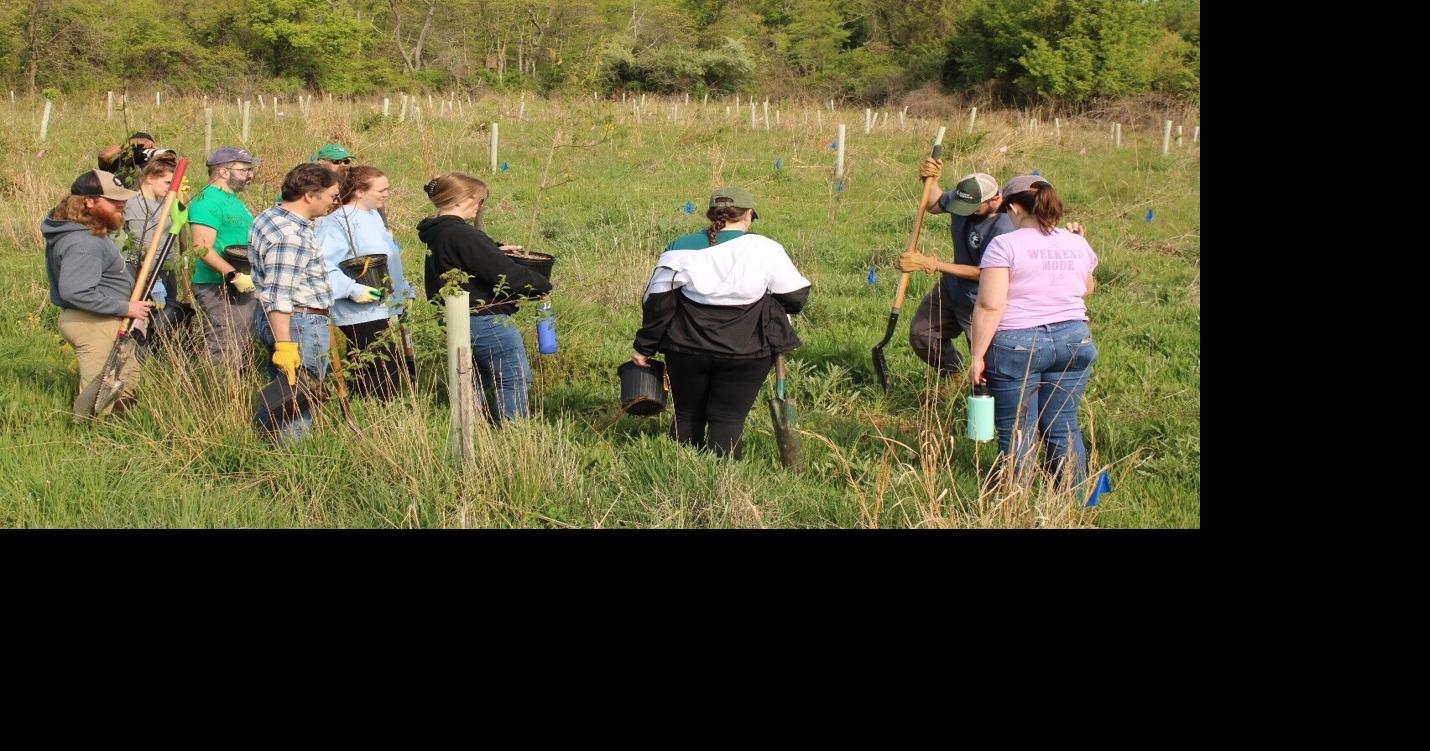 Delaware tree initiative passes halfway mark in planting goal