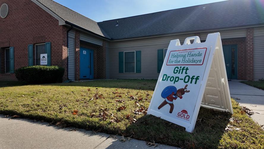 Helping Hands for the Holidays 1