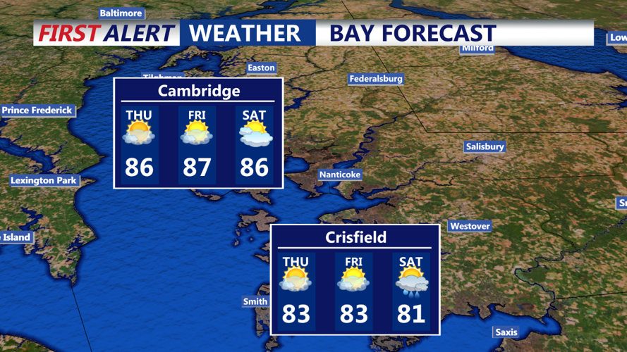 BAY FORECAST
