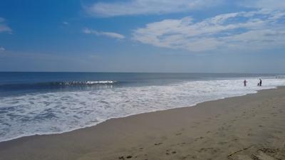 Urgent action needed to protect Delaware's coastal and bay areas