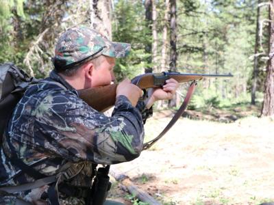 Delaware game birds hunting