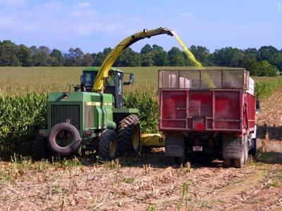 FARMING