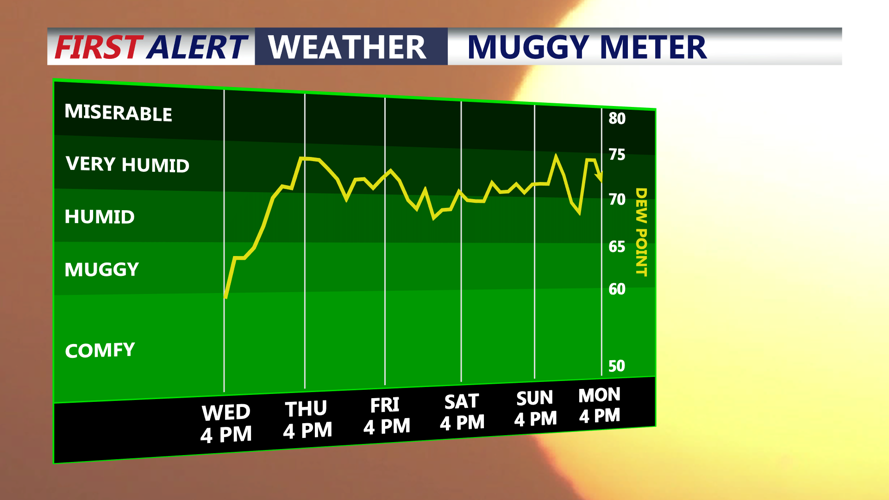 Muggy Meter