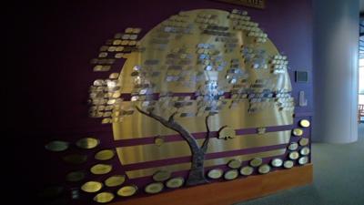 reflections of life tree