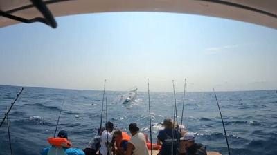 "Fish Bone" Helps Rescue Fishing Team From Sinking Boat During Day One Of White Marlin Open