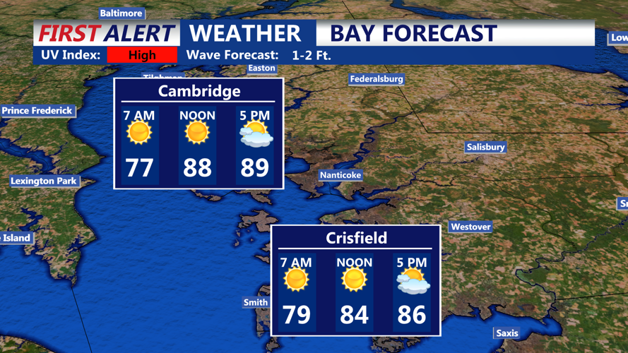 BAY FORECAST