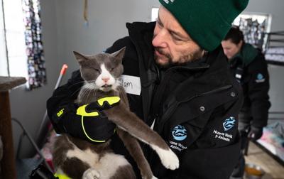 A man holding a grey and white cat.