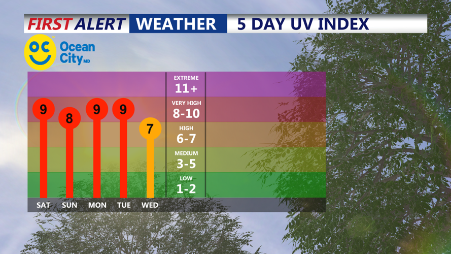 UV INDEX