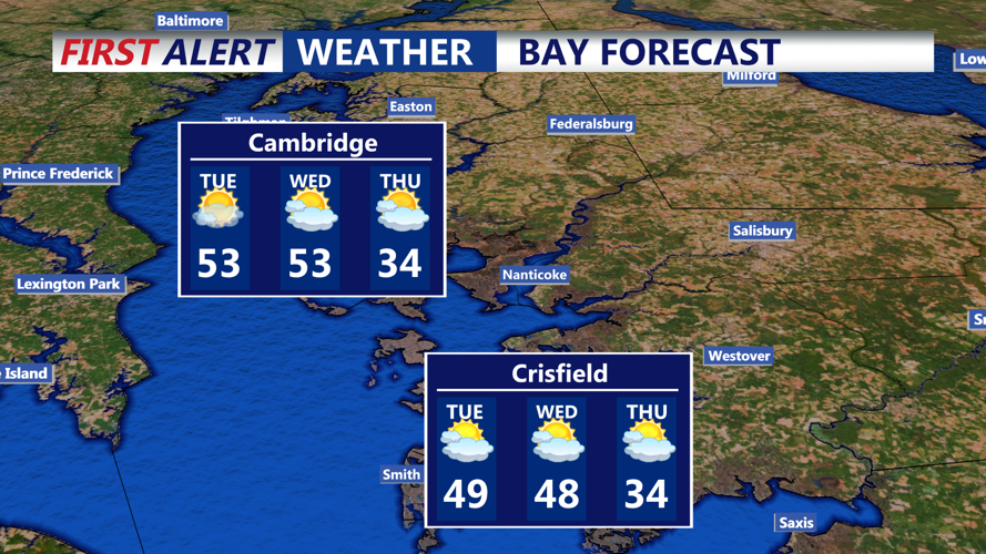 BAY FORECAST