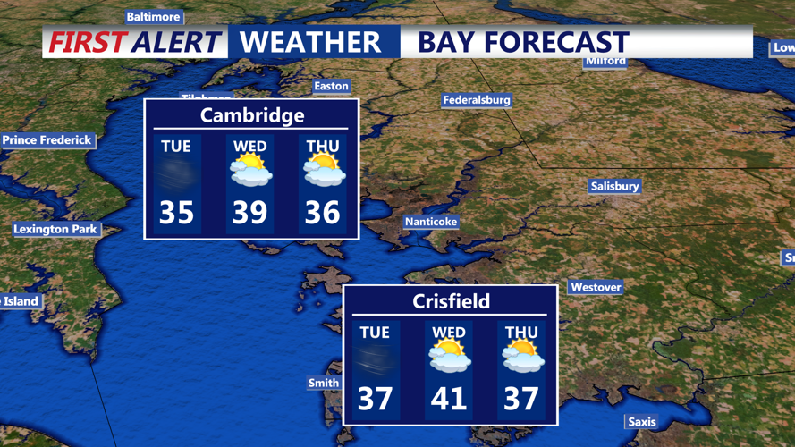 BAY FORECAST