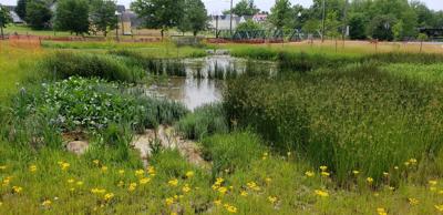 Water Quality Improvement Projects