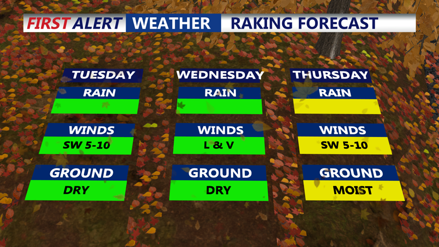 RAKE FORECAST